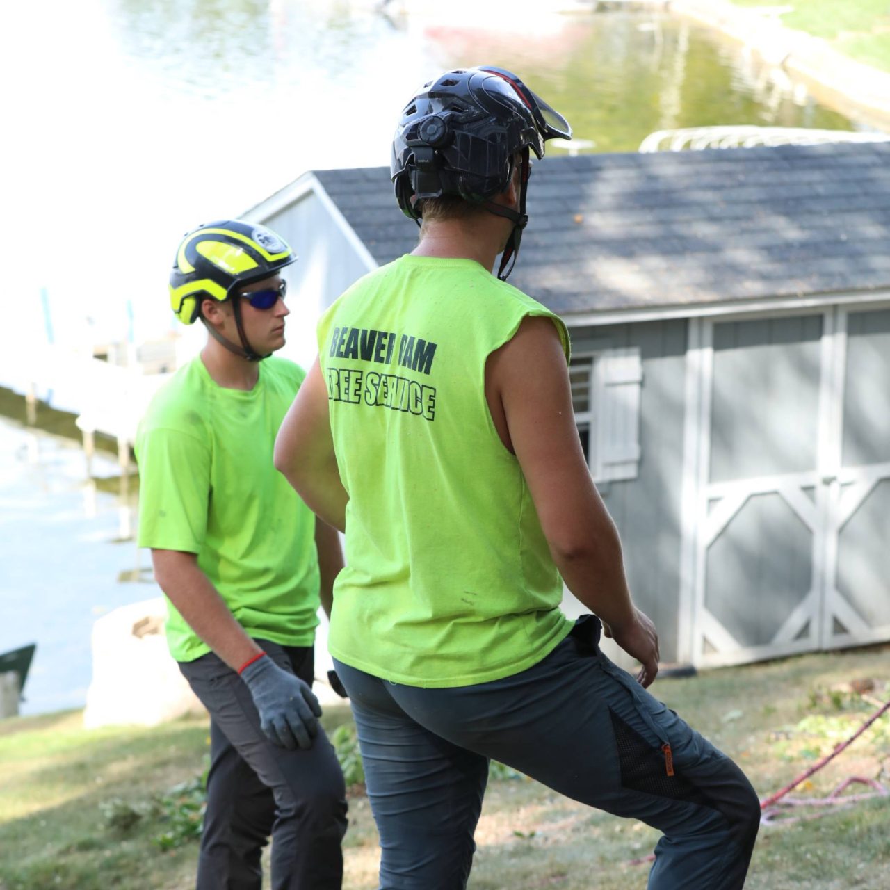 Two Beaver Dam Tree Service employees standing wearing helmets and fluorescent green t-shirts.