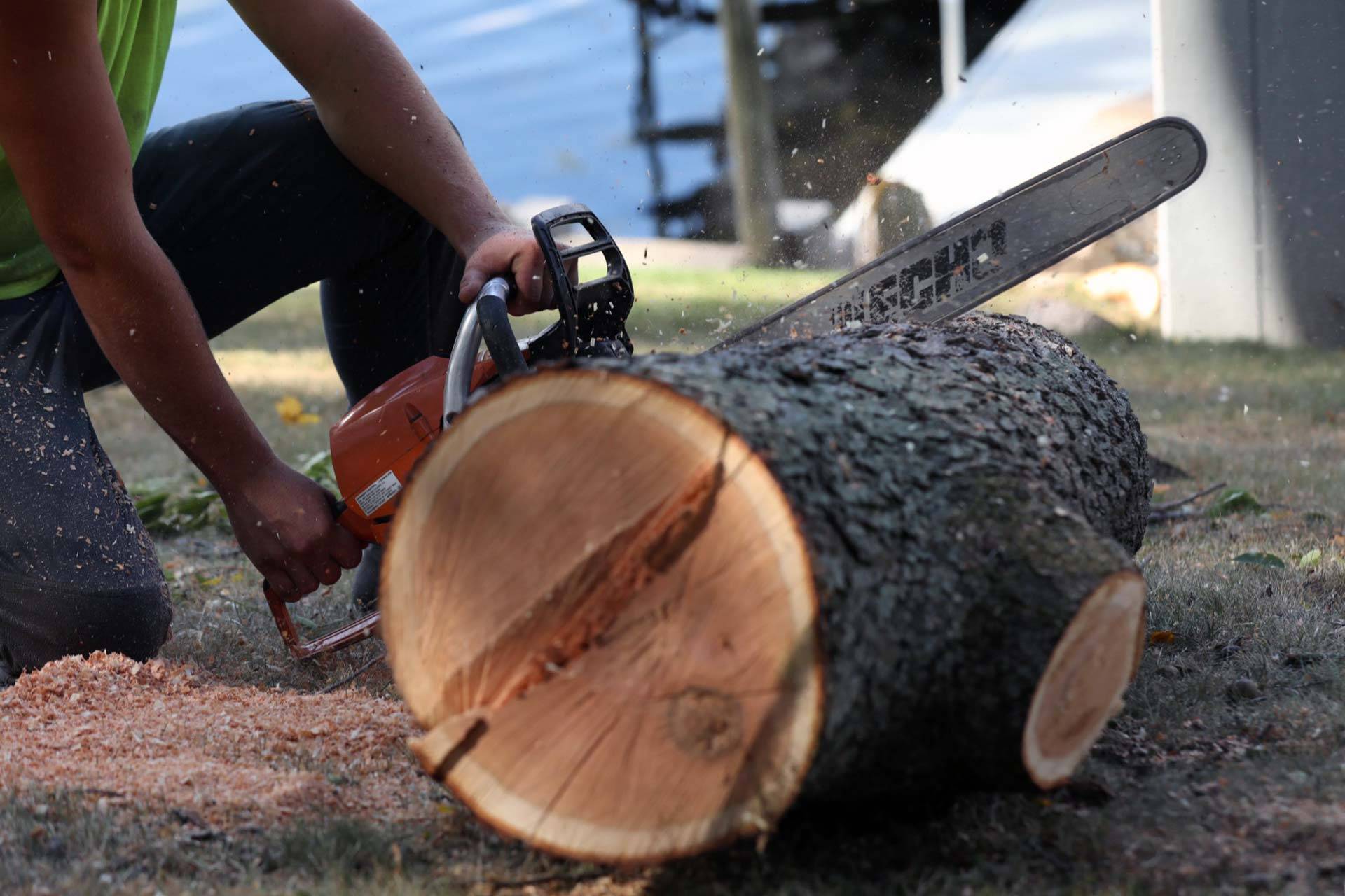Beaver Dam Tree Service employee using a chainsaw to cut a log into smaller pieces.