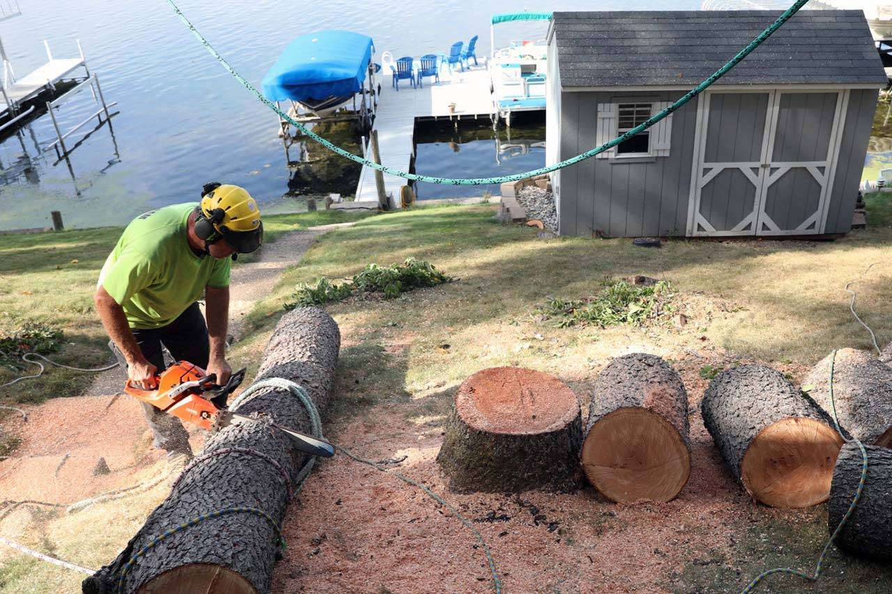 Beaver Dam Tree Service employee using a chainsaw to cut a felled tree into smaller pieces next to a lake.