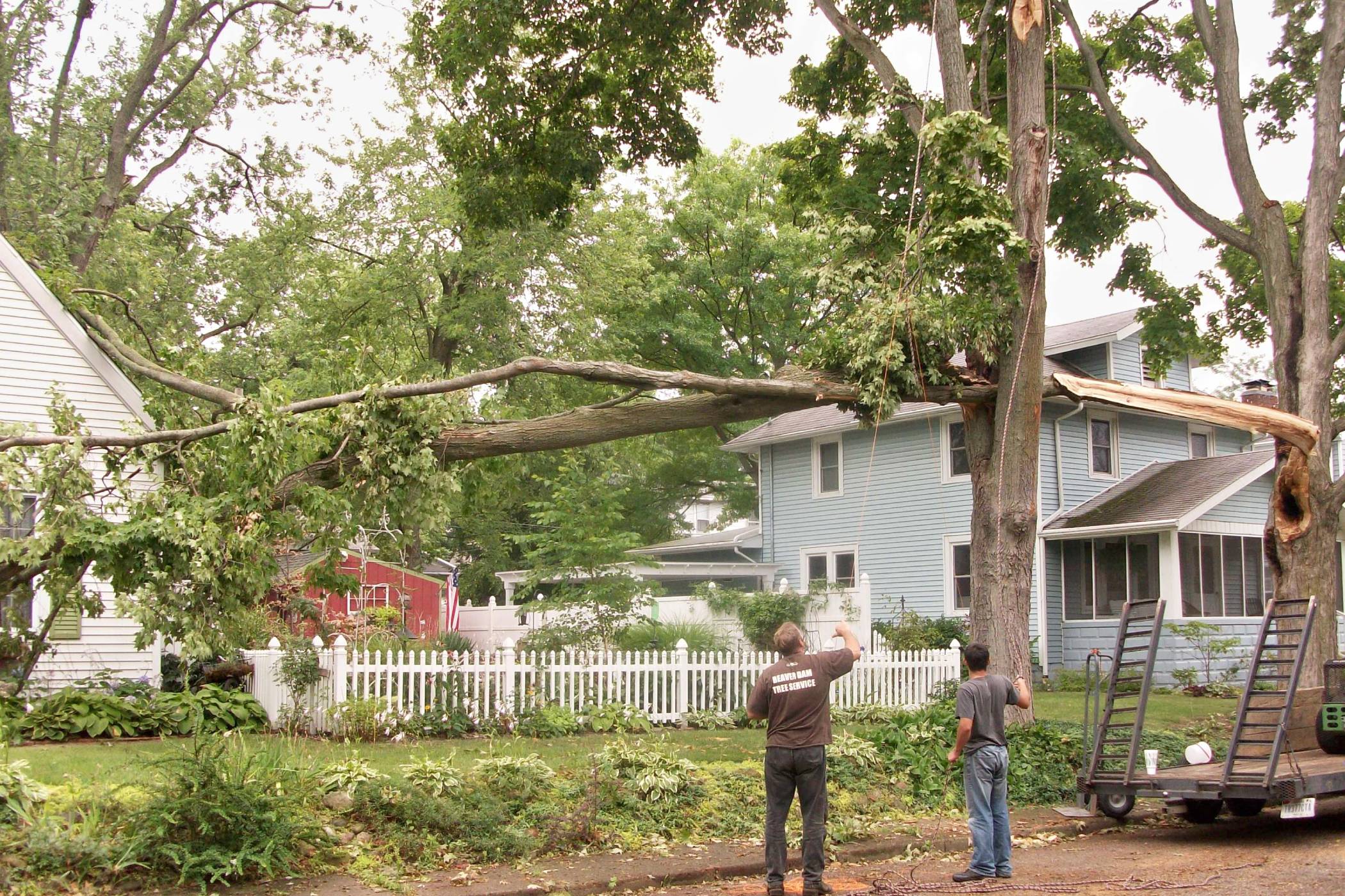 Two men standing in the road in the process of removing a tree.