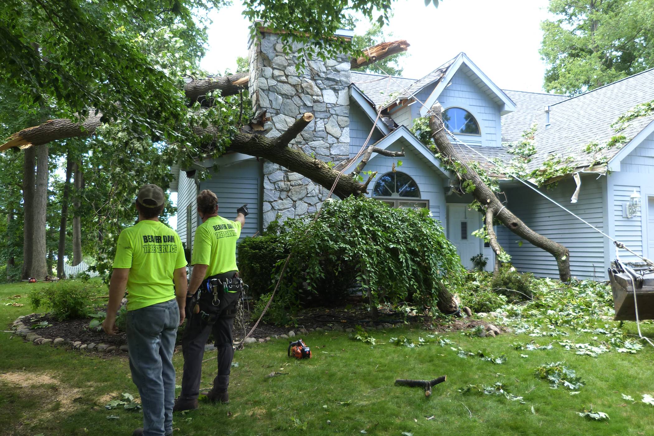 Two Beaver Dam Tree Service employees assessing how to safely remove a tree that has fallen onto a house.