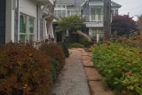 A tree limb being carefully removed by Beaver Dam Tree Service among garden beds and landscaping.